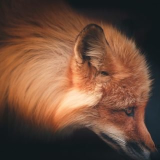 Nokia N9 ve işletim sistemi MeeGo değerlendirmesi