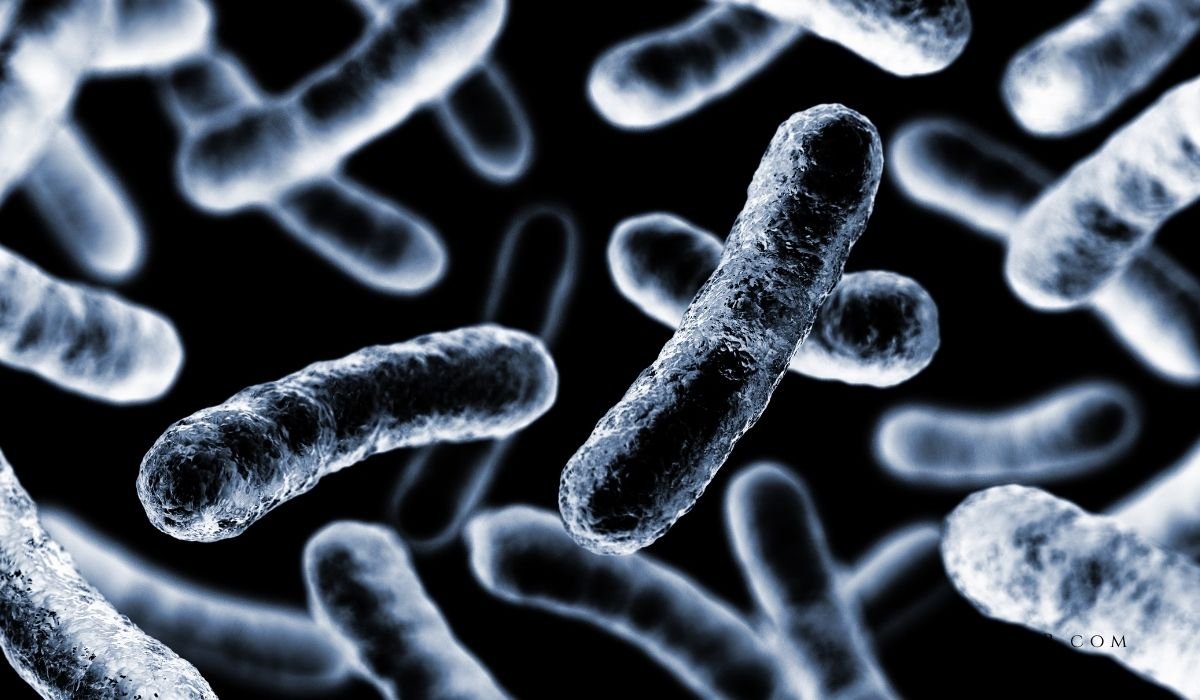 Yamyam Bakteri Can Alıyor